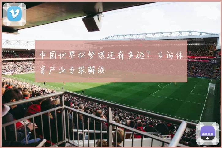 中国世界杯梦想还有多远？专访体育产业专家解读