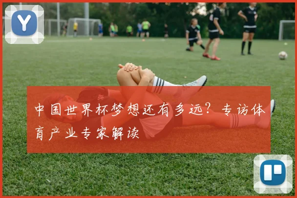 中国世界杯梦想还有多远？专访体育产业专家解读